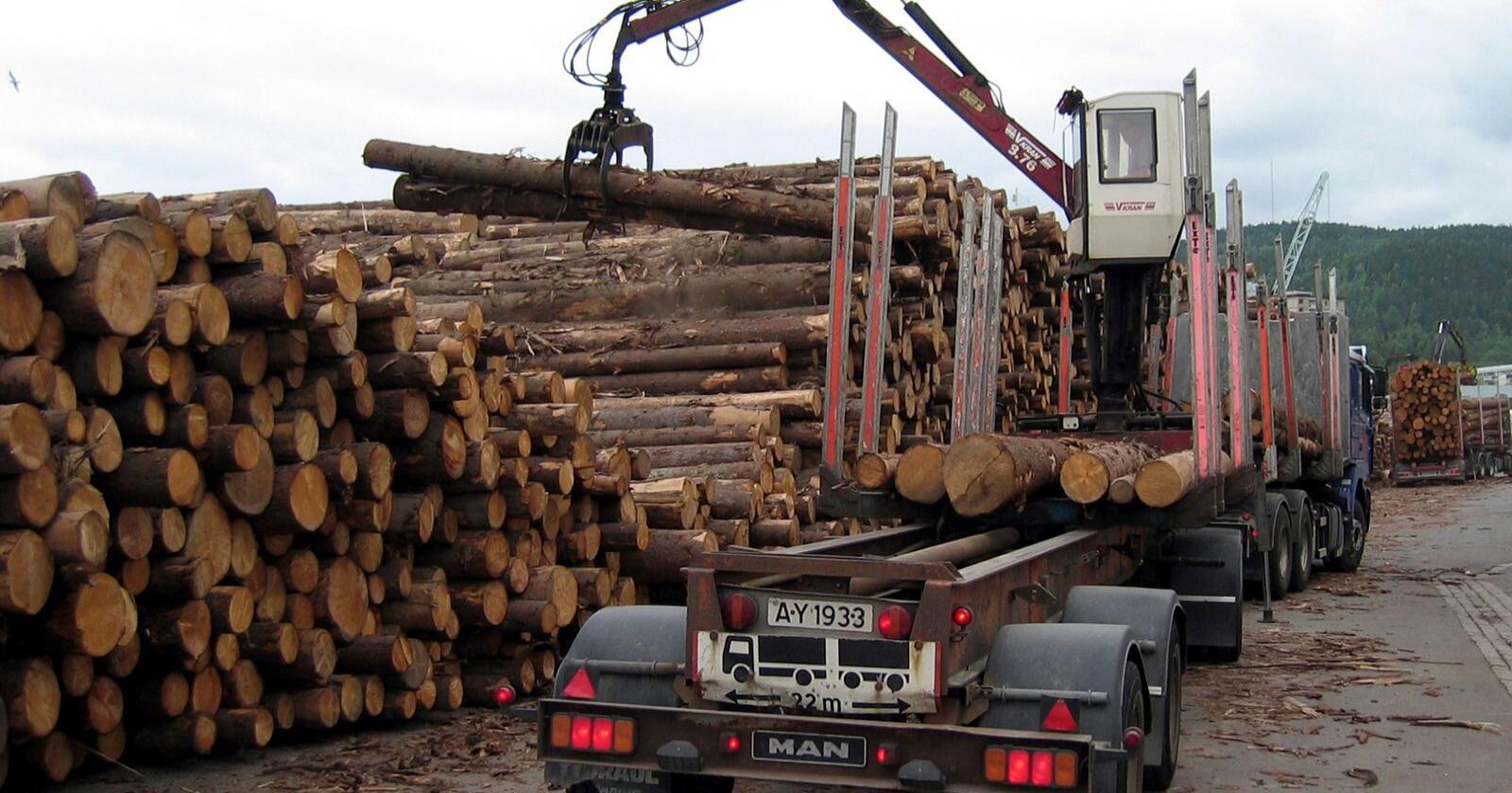 Prisen på tømmer har auka med 30 prosent i løpet av 2021. Illustrasjonsfoto: Lise Åserud / NTB / NPK
