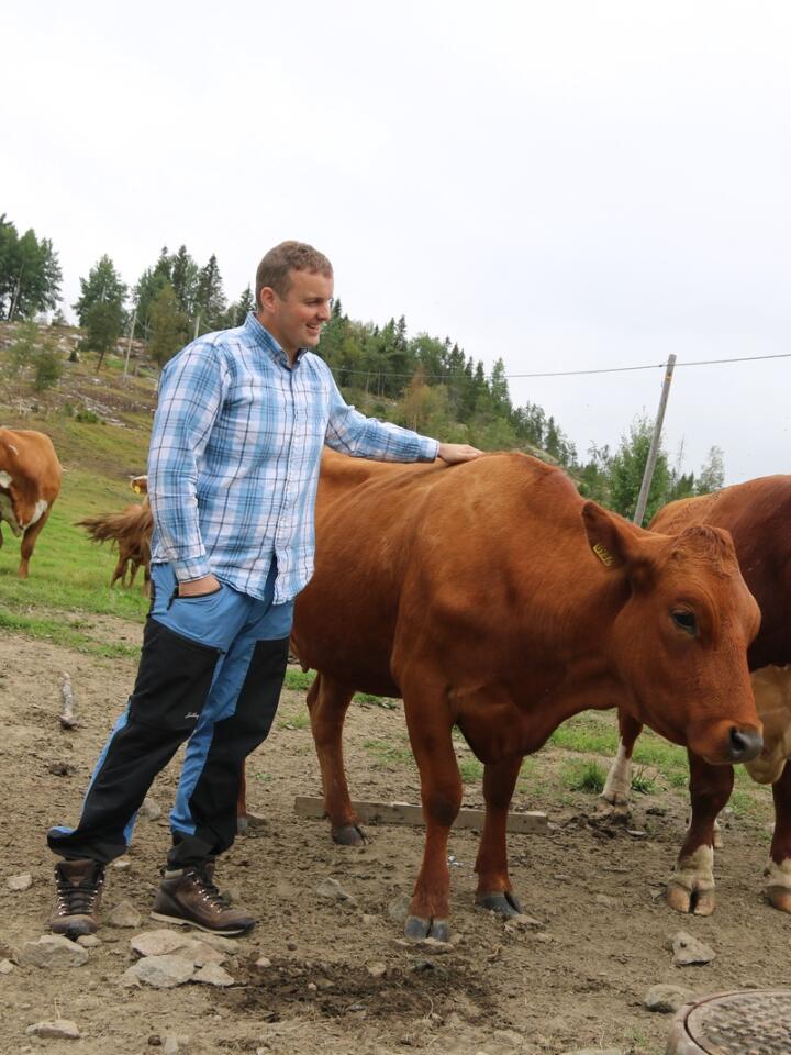 GODKJENT: Gunnar Hjellan og Ole Bragstad blir raskt populære når de først deler ut kos. Arealet hadde vokst igjen med skog, men er nå åpnet opp igjen, og Hjellan har allerede fått 50 dekar godkjent som innmarksbeite. 