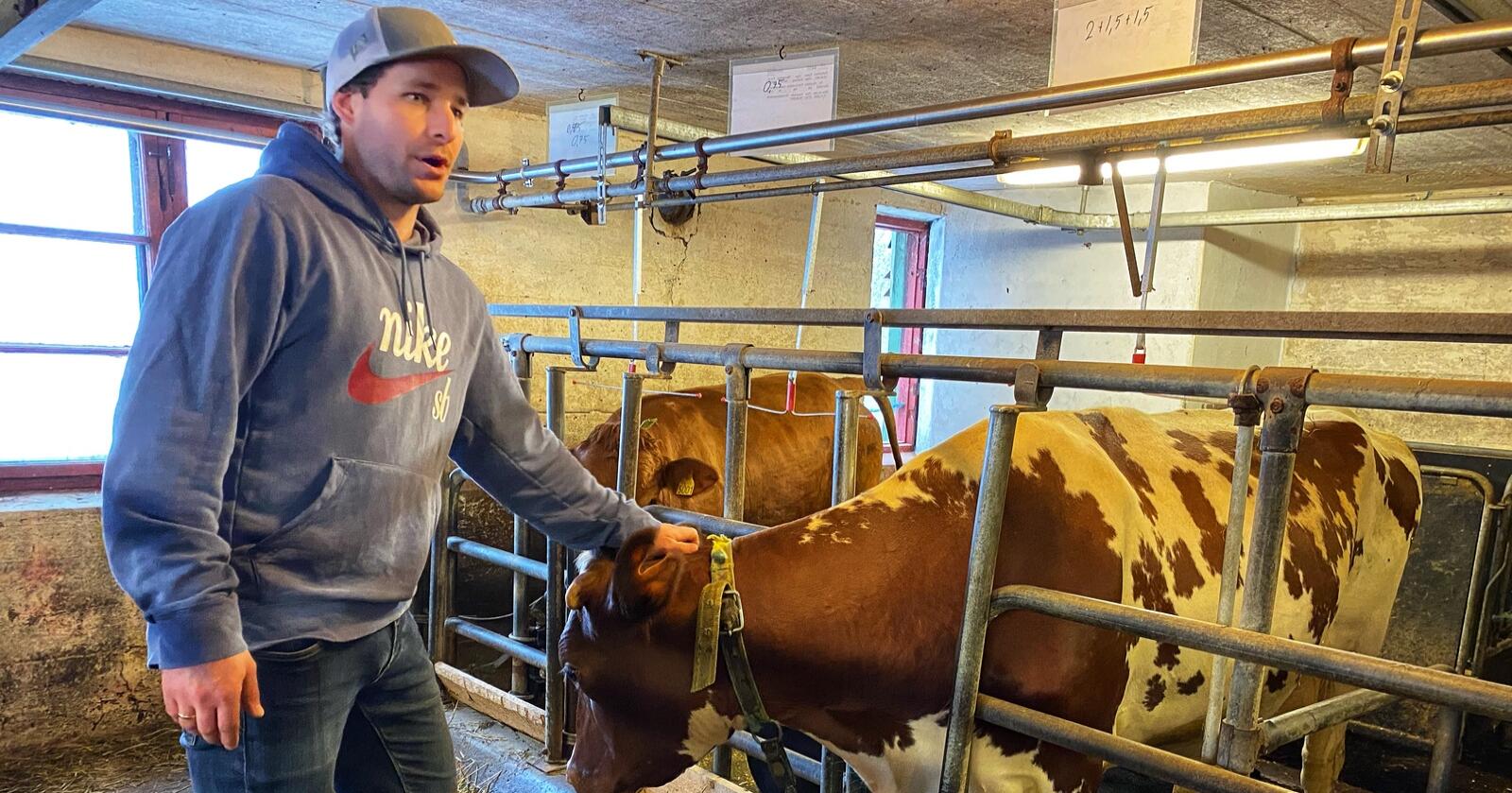 Bjarne Ophus har vært melkebonde i åtte år. Han vil gjerne fortsette, men skjønner ikke hvordan han skal kunne investere i løsdriftsfjøs med dagens lønnsomhet i melkeproduksjonen. Foto: Camilla Mellemstrand. 