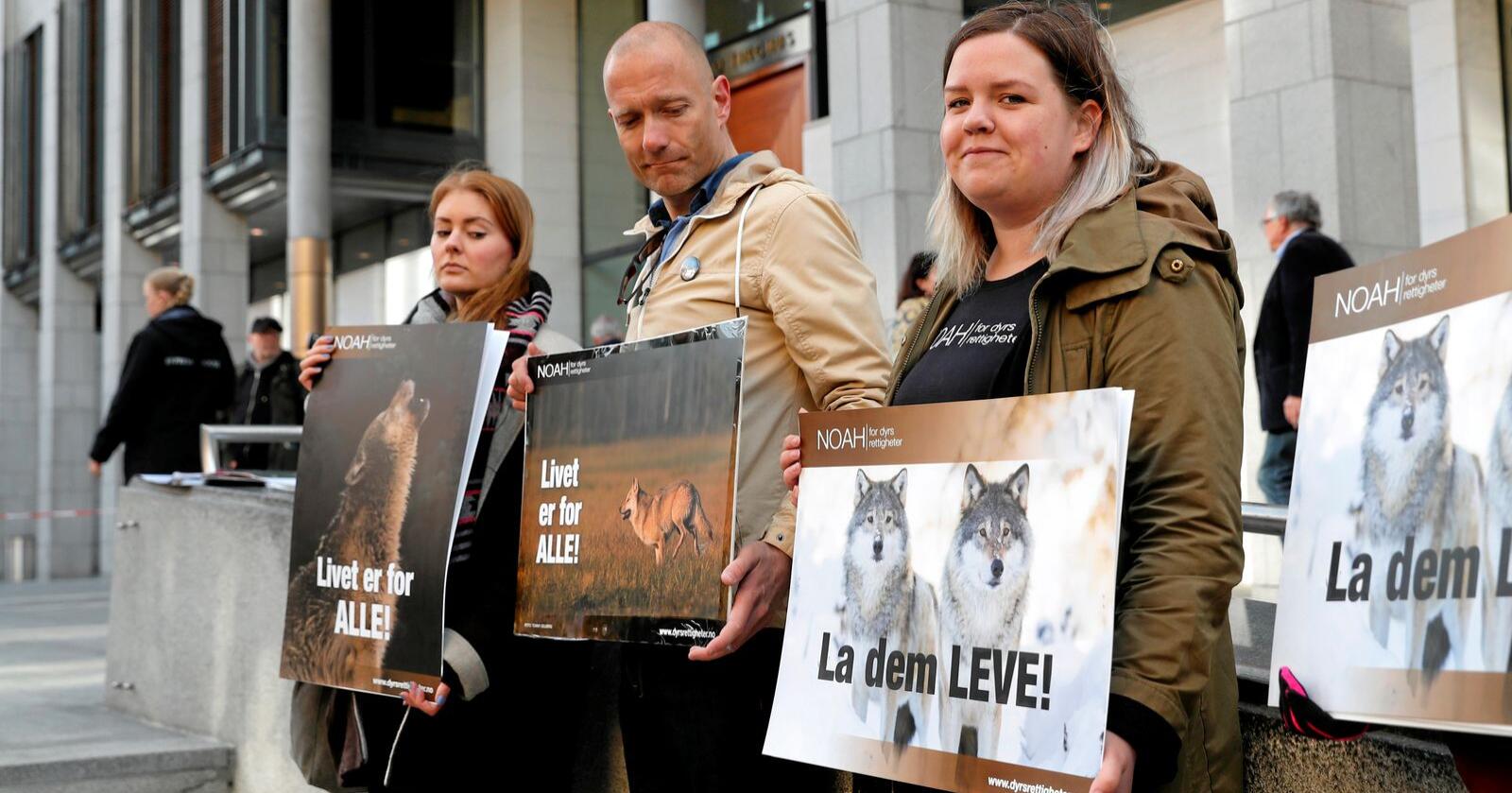 Ulvedom: Demonstranter for ulv da ulverettsaken først ble behandlet i Oslo tingrett. Foto: Cornelius Poppe/NTB scanpix