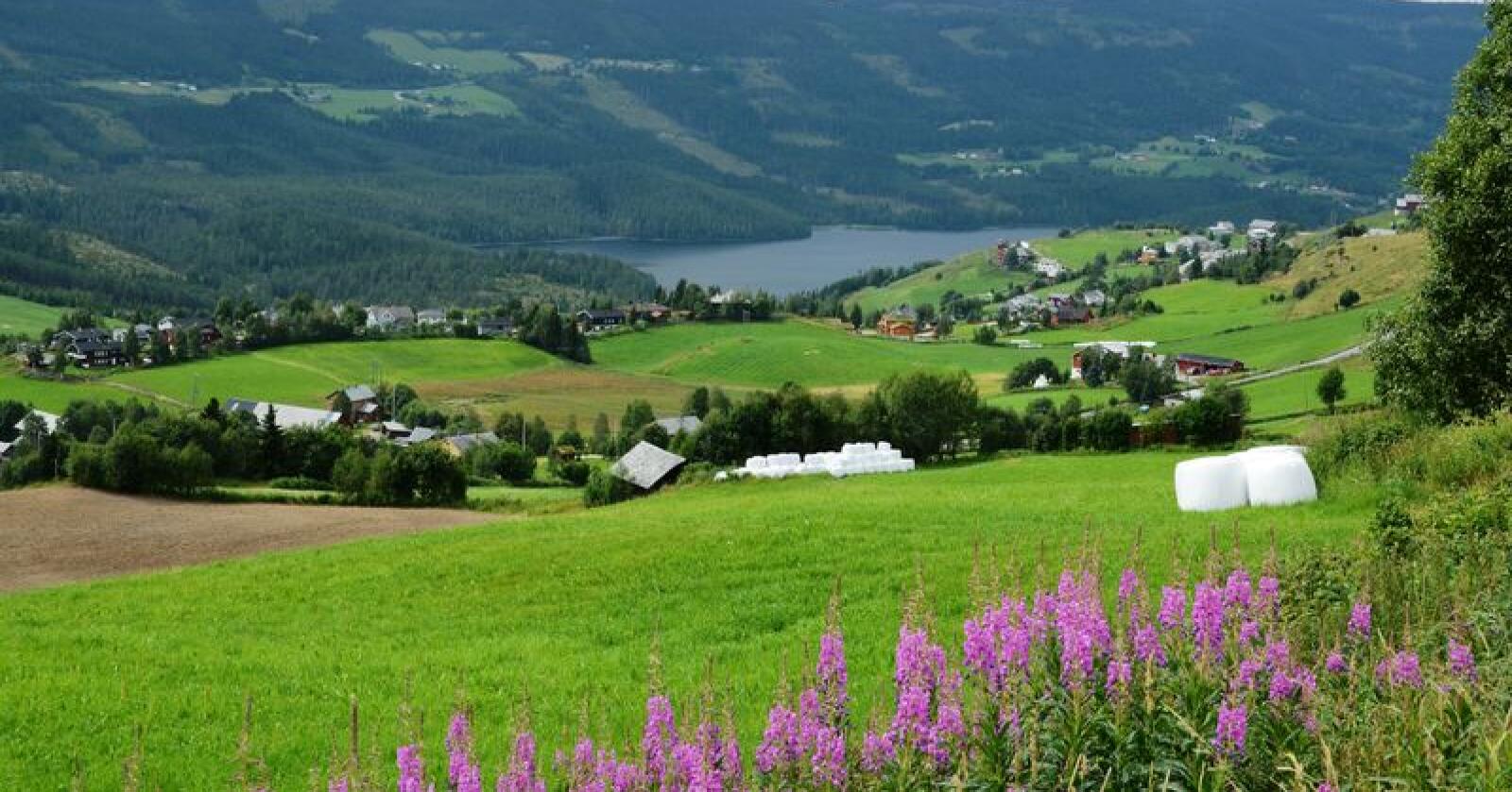 Hver tredje eier av landbrukseiendom i Norge er 67 år eller eldre. Og andelen eldre eiere har økt de siste ti åra. Foto: Bondebladet
