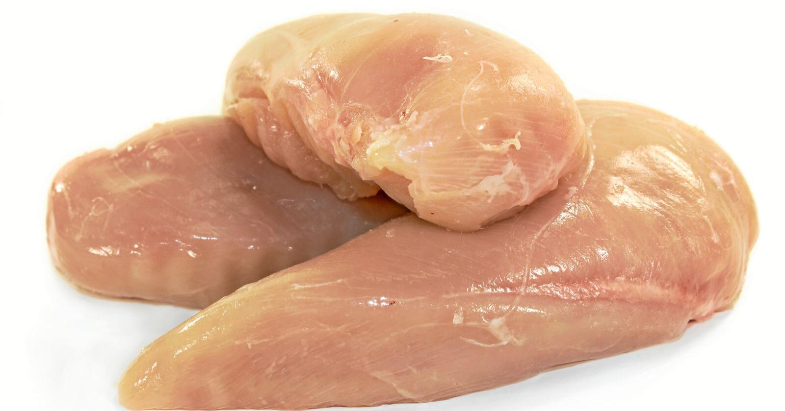 USA vil eksportere klorvasket kylling til Storbritannia. EU krever at det opprettholder forbud. Foto: Colourbox