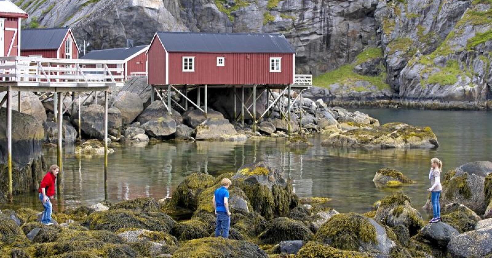 Føling i fjæra: Turister nyter Nusfjord i Lofoten. Foto: C.H./Visitnorway.com
