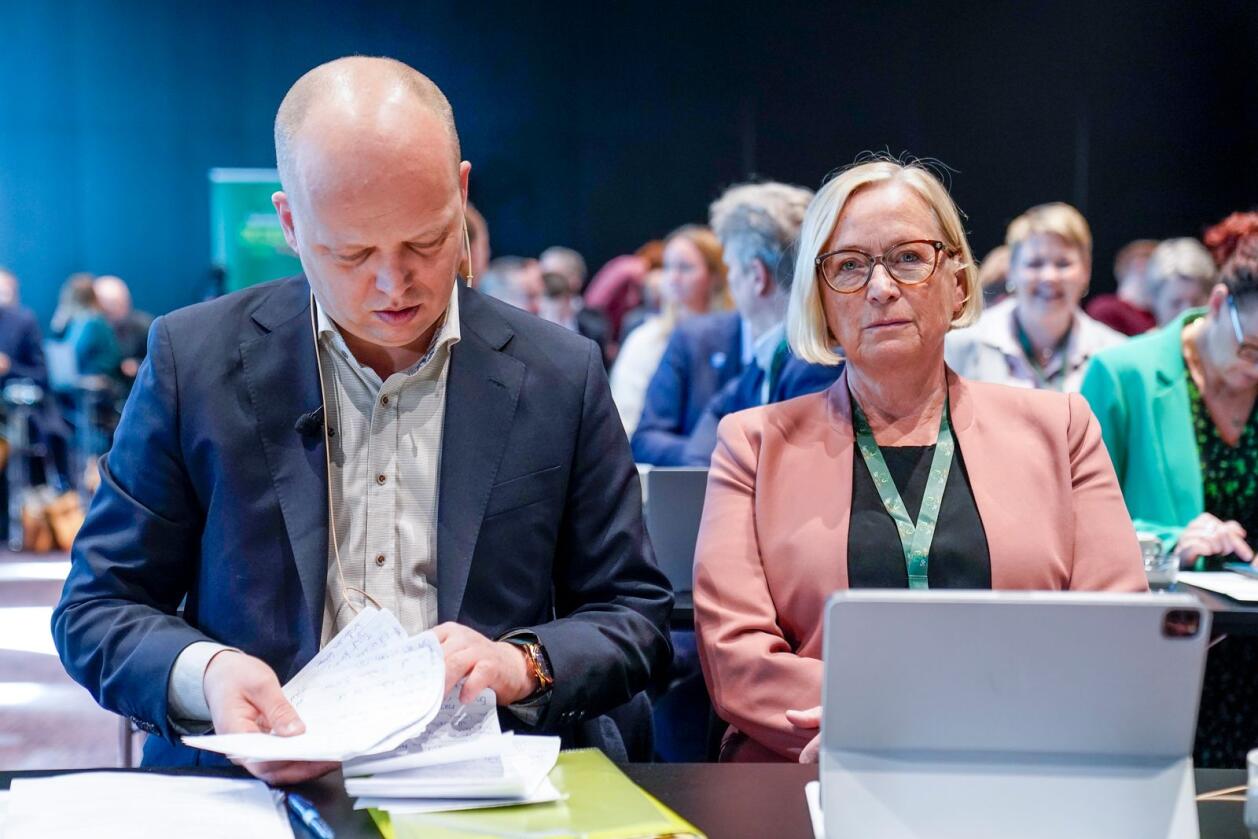 Marit Arnstad mener Norge kan bruke EUs krav til forsyningssikkerhet for gass som argument for å sørge for norsk forsyningssikkerhet på strøm. Foto: Torstein Bøe / NTB