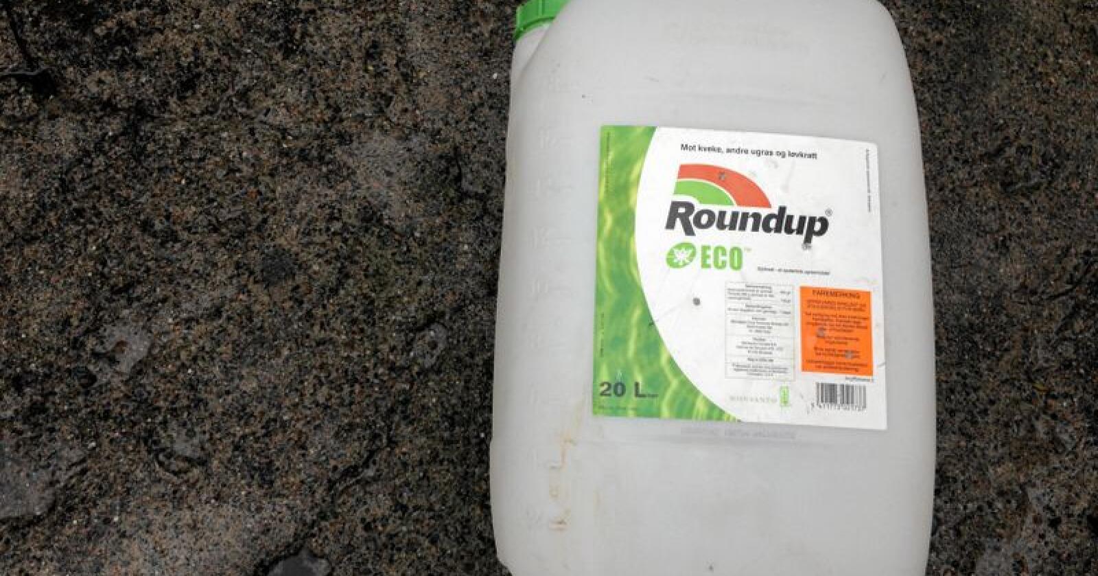 Glyfosat er det mest brukte virkestoffet plantevernmidler i Norge. Her en dunk Roundup, som er det mest kjente glyfosat-produktet. Foto: Svein Egil Hatlevik