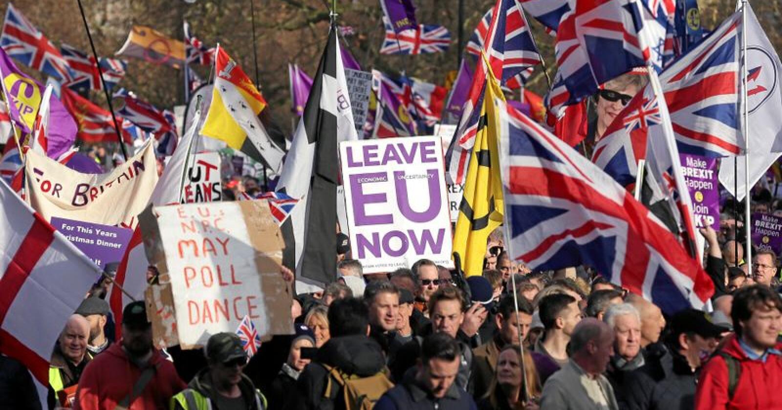 Brexit-demonstrasjon: Demonstranter som frykter at resultatet av folkeavstemningen ikke vil bli respektert. Ved Hyde Park i London søndag 9. desember. Foto: Tim Ireland/AP Photo/NTB scanpix
