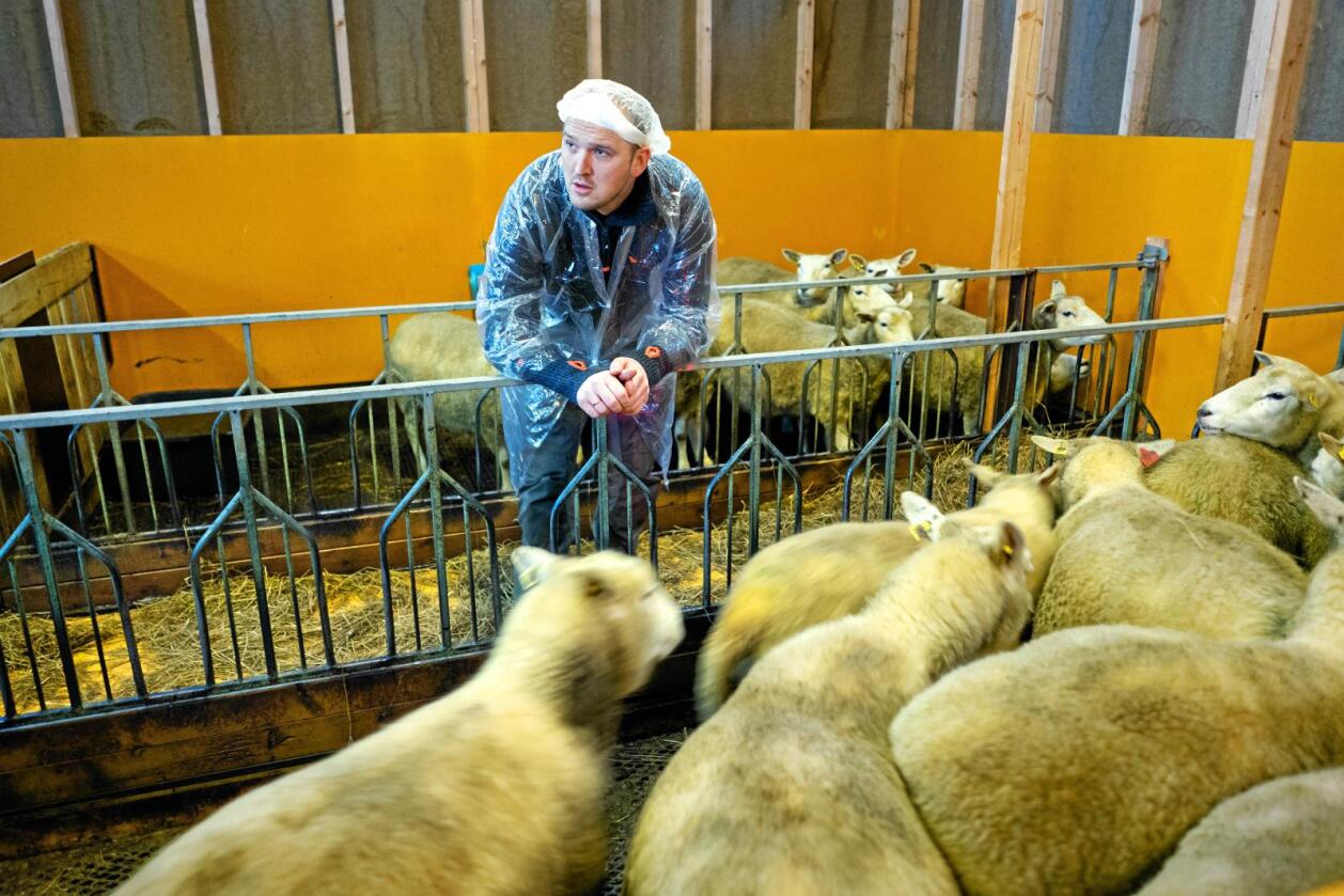 Avviser: Landbruksminister Jon Georg Dale vil ikkje bremse støtta til nye fjøs. Foto: Ketil Blom Haugstulen