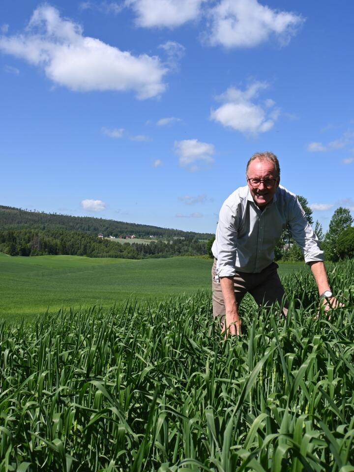 HAPPY: Egil Olsvik er stolt kornbonde og stolt leder av styringsgruppa for Partnerskapet for norsk matkorn og planteproteiner. 