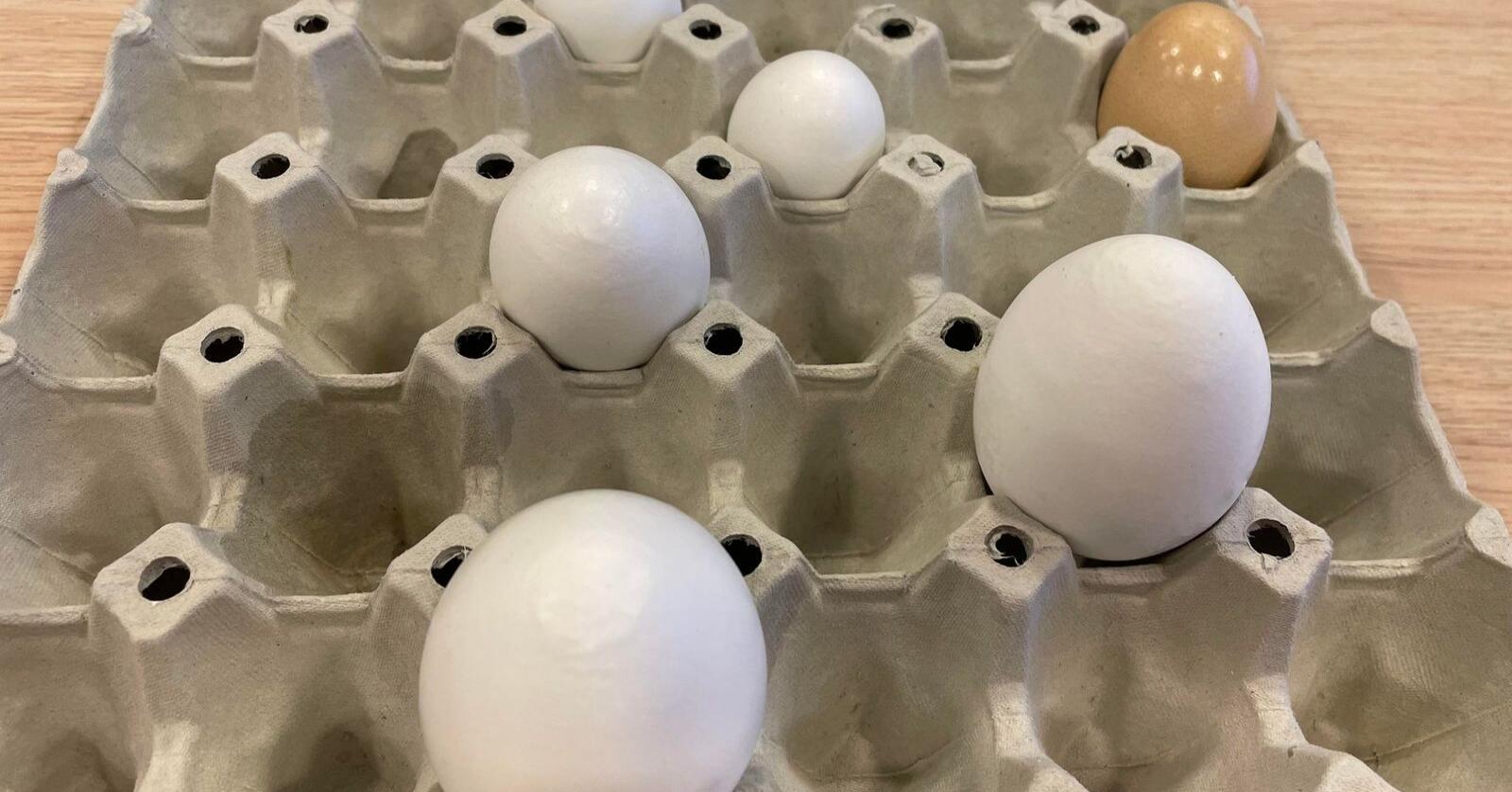 Mangelen på egg har ført til at store dagligvarekjeder setter grenser for hvor mange egg kunden kan kjøpe. Foto: Arkiv