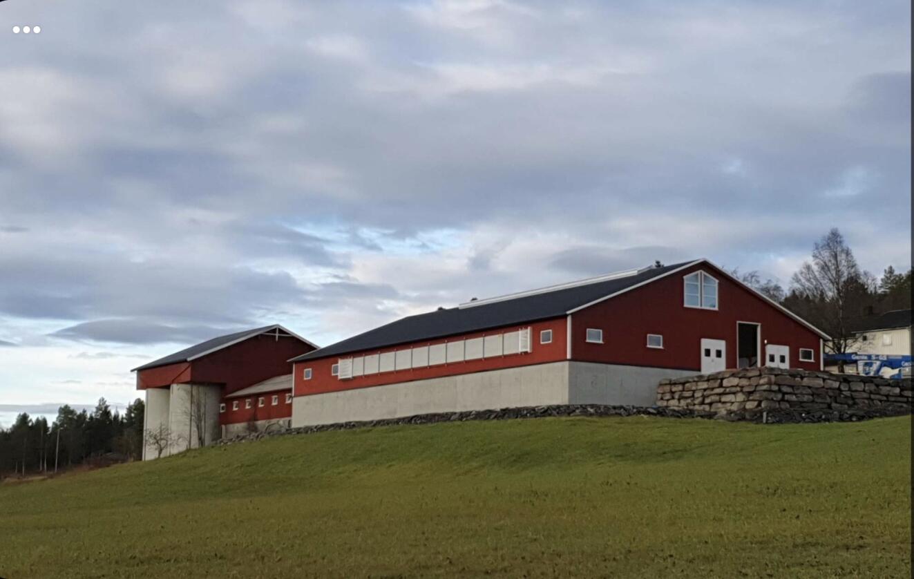 NYBYGG: I fjor satte Fjøssystemer opp dette fjøset på 838 kvadratmeter inntil eksisterende bygning hos Jan Ove Flemsæter i Angvik. Foto: Fjøssystemer