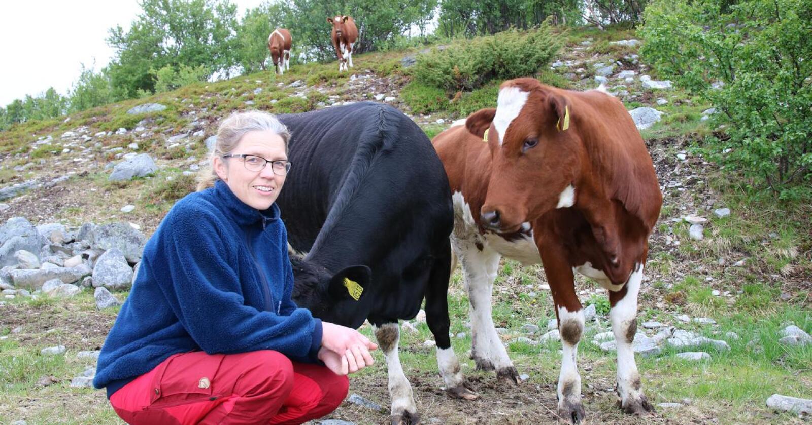 Lise Kaldahl Skreddernes ønsker å prioritere driftstilskudd til både sau og melk. (Foto: Karl Erik Berge)