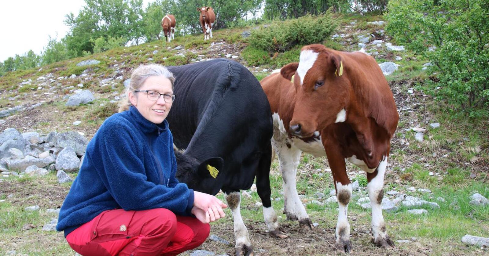 Distriktskamp: – Hvert gårdsbruk som blir nedlagt, er et stort tap ikke bare for næringa, men også for selvforsyning og beredskap i området, sier fylkesleder Lise Kaldahl Skreddernes i Finnmark Bondelag. Foto: Karl Erik Berge