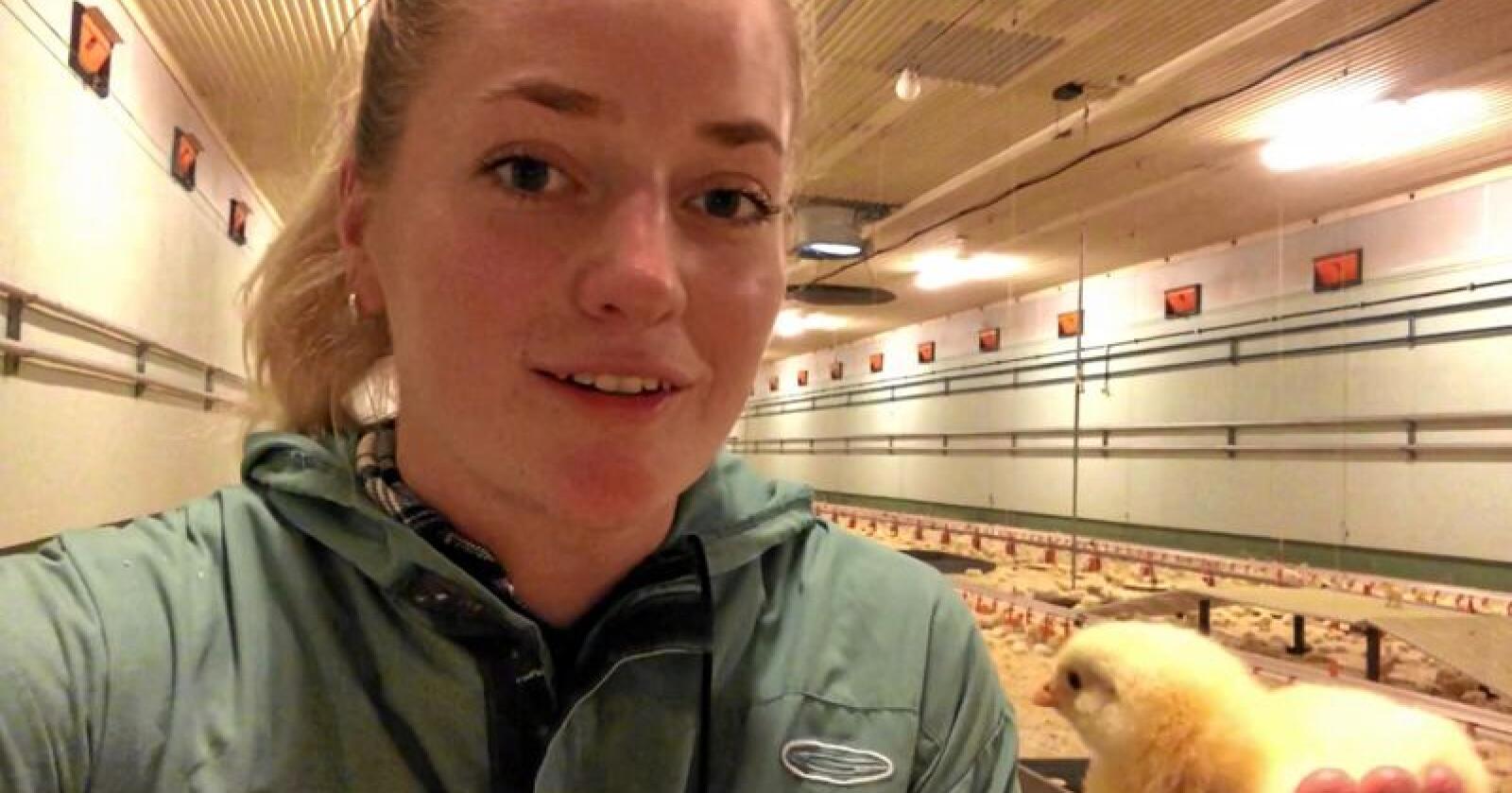 Emilie Enger Mehl (Sp) lagde en film for å vise Grønn Ungdom hvordan det ser ut i et kyllinghus. Foto: Skjermdump / Facebook