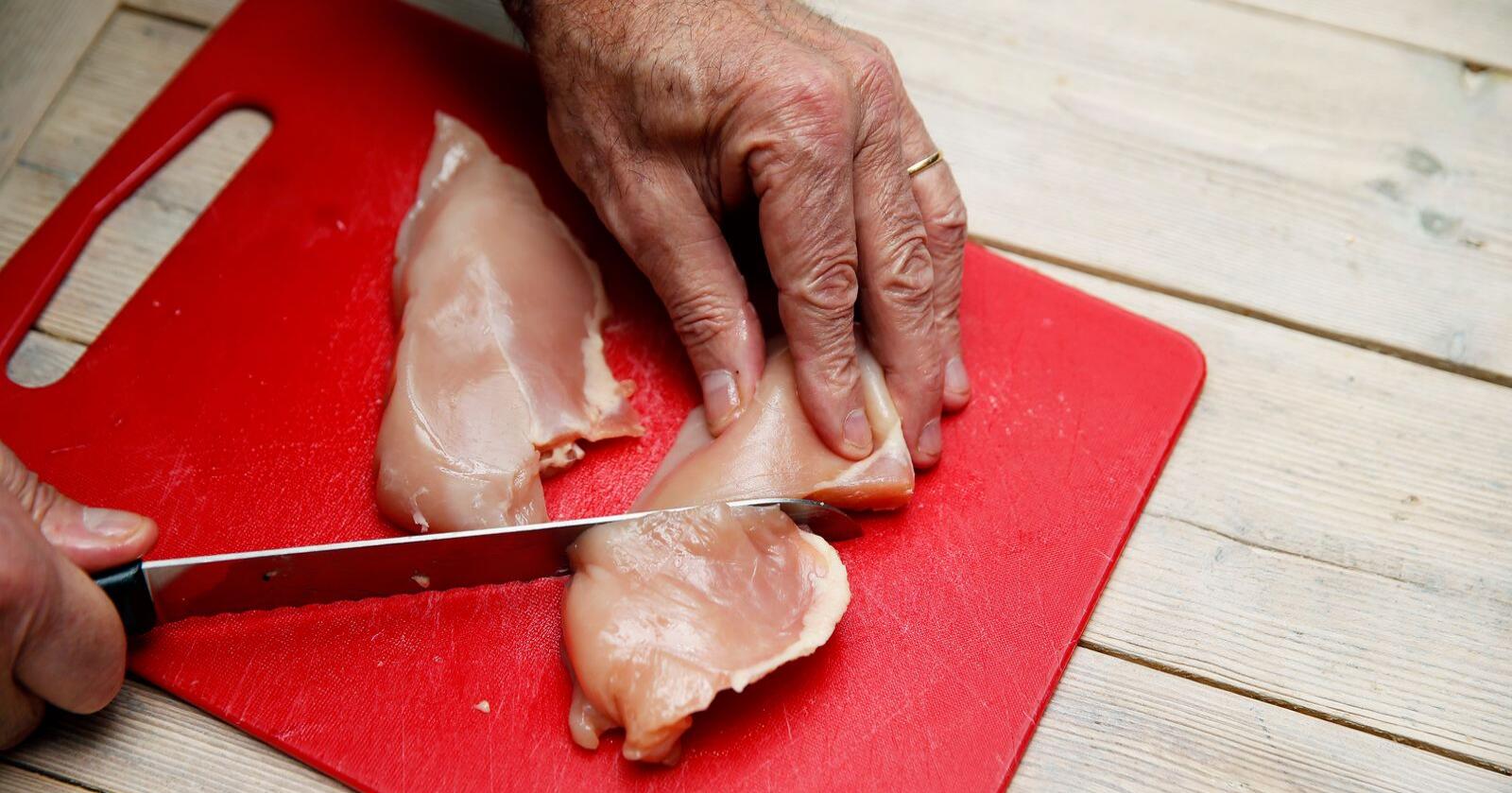 Islamsk Råd Norge forventer at det fortsatt vil produseres halalslaktet kylling i Norge. Illustrasjonsfoto: Cornelius Poppe / NTB