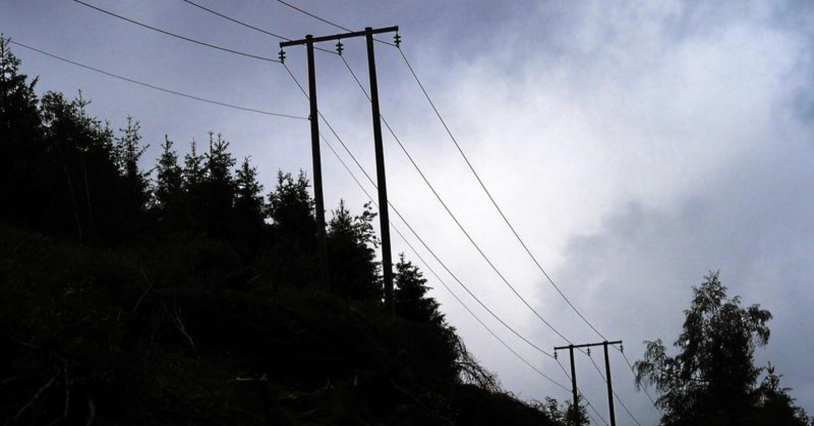 Høsten og vinteren har vært preget av høye strømpriser. Det gir budsjettpartnerne større handlingsrom. Foto: Siri Juell Rasmussen
