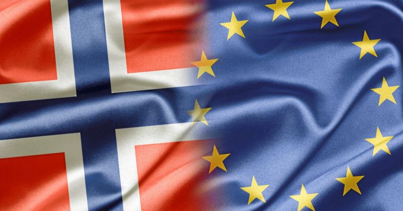 Norway and EU Foto: Ruskpp Ruskpp/Mostphotos