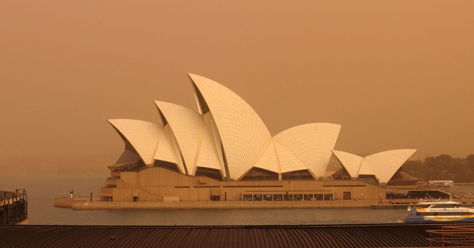 Australia slapp ut mer CO2 i løpet av skogbrannsesongen enn de normalt gjør i løpet av et år. Foto: Peter Talos / NTB scanpix
