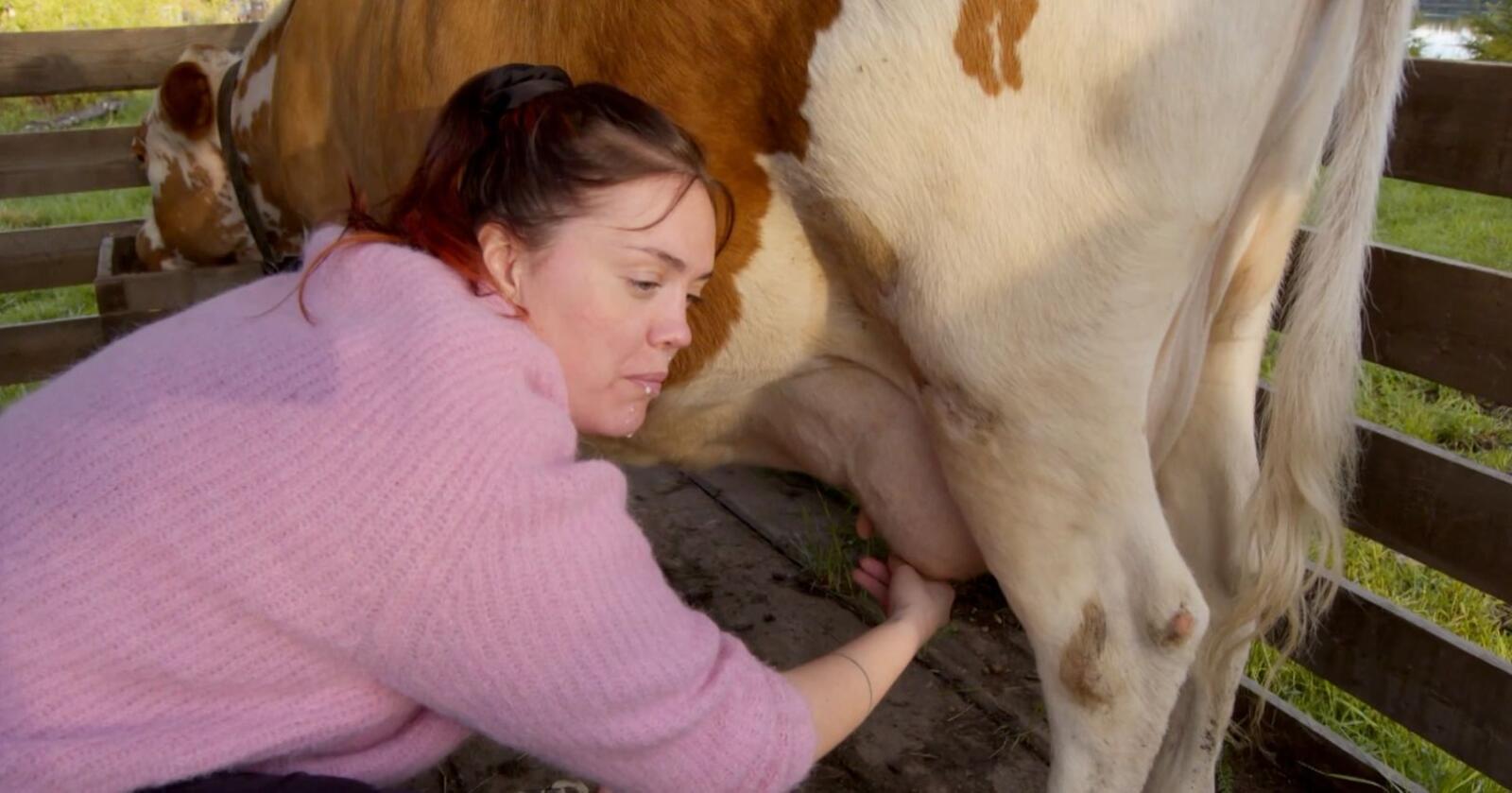 I sesongpremieren av TV2s Kjendis Farmen drikker influencer Malin Nesvoll Vangsnes melk rett fra kua. Foto: Skjermbilde/TV 2/Farmen Kjendis