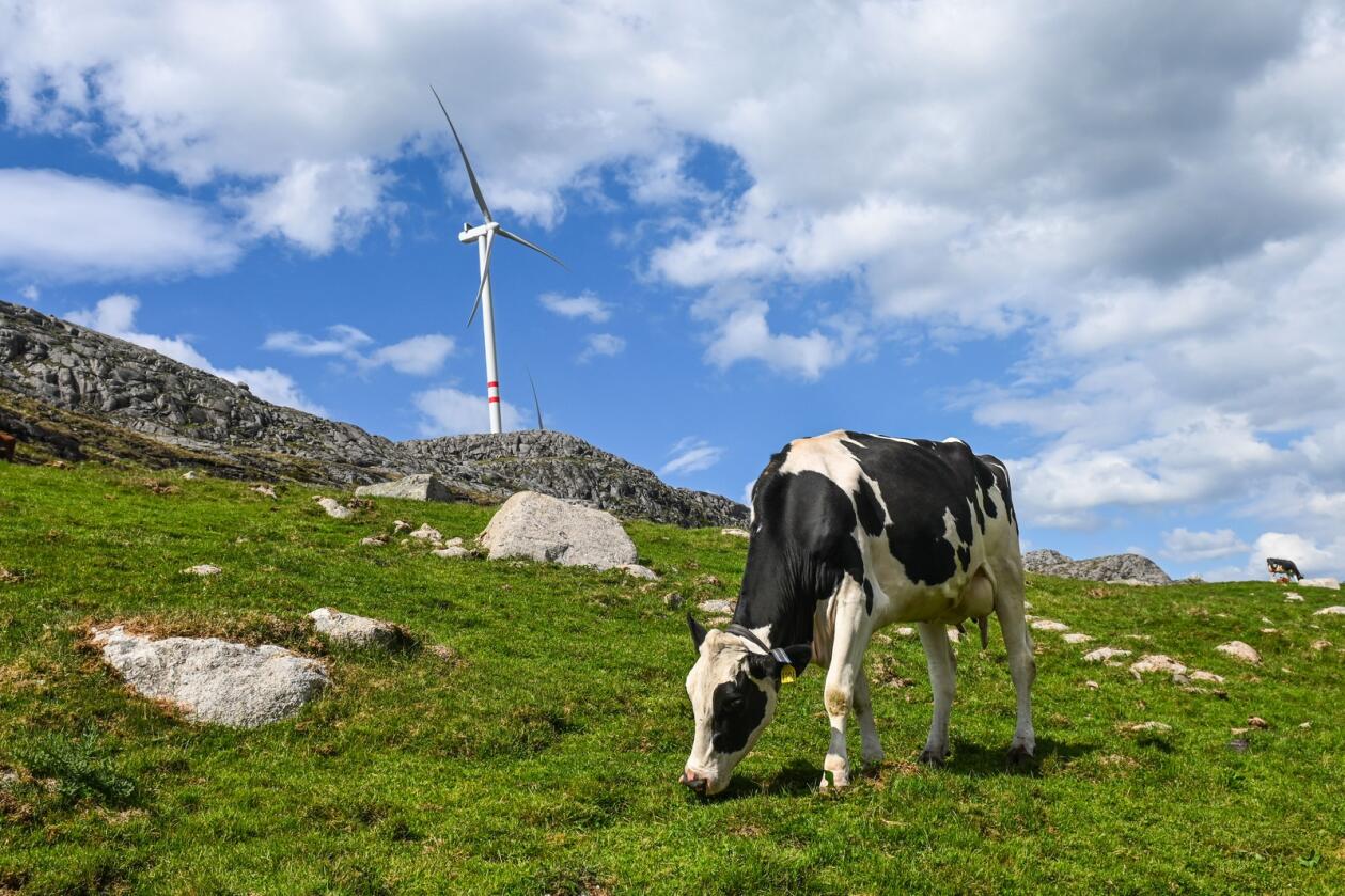 Mindre anlegg: Vindmøller på gårder kan bli et mer vanlig syn her i Norge i årene som kommer. Nytt regelverk rundt utbygging av vindkraft kan gjøre det lettere å sette opp mindre anlegg, og gi en ekstra inntekt til grunneierne.