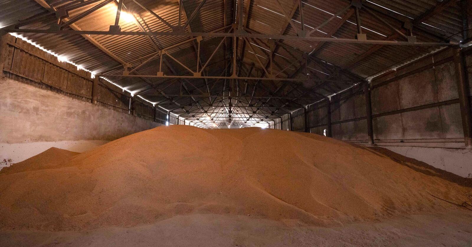 Flere store kornlager i Ukraina har siden Russlands invasjon stått uten mulighet til å eksportere. Her fra et lager i byen Luky, vest i Ukraina mot slutten av mars. Foto: AP Photo/Nariman El-Mofty, File