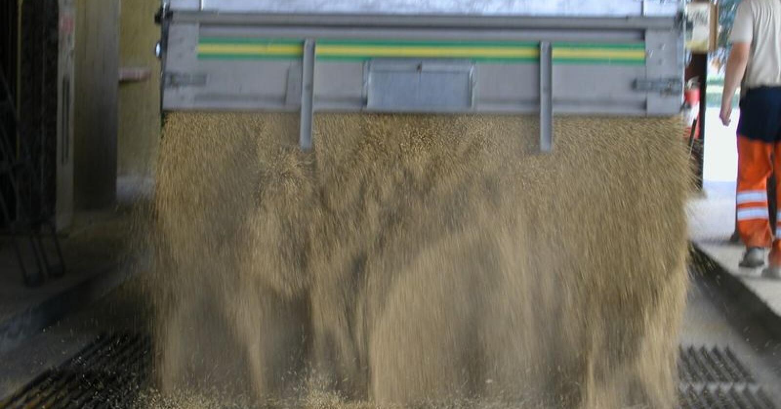 Mange kornmottak blir direkte berørt av streiken i Felleskjøpet. (Arkivfoto)