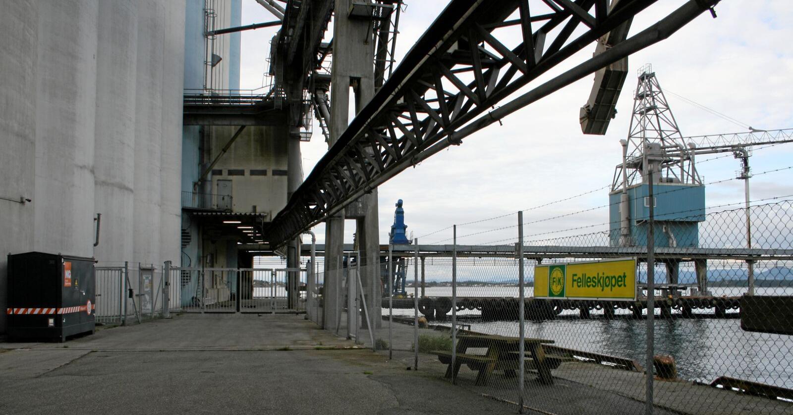 Klimaeffekt: Riving av beredskapslageret Stavanger Havnesilo, som er det største kornlageret i Nord-Europa, vil gi store klimautslepp. Berre produksjon av sementen i slike gigantanlegg gir utslepp som tilsvarar nær 10.000 personbilar, men når anlegget først står der startar ein livslang prosess der betongen tar opp og lagrar CO2. Foto: Bjarne Bekkeheien Aase