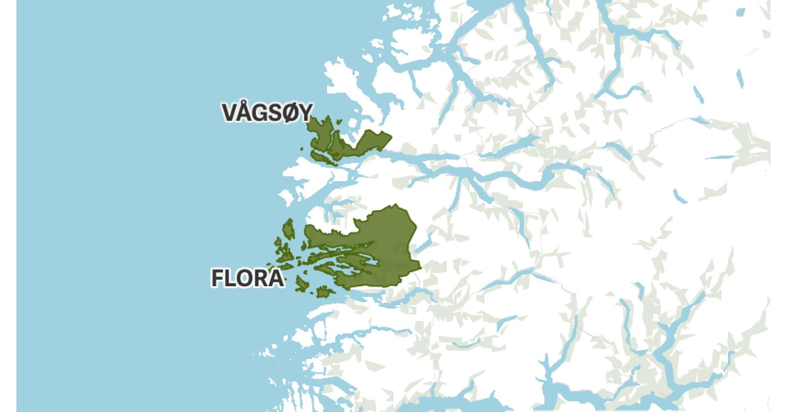 I folkeavstemningen tok innbyggerne stilling til om Vågsøy og Flora skulle gjenoppstå som egne kommuner. Et svært knapt flertall stemte for at Kinn kommune skal bestå som en samlet kommune. 