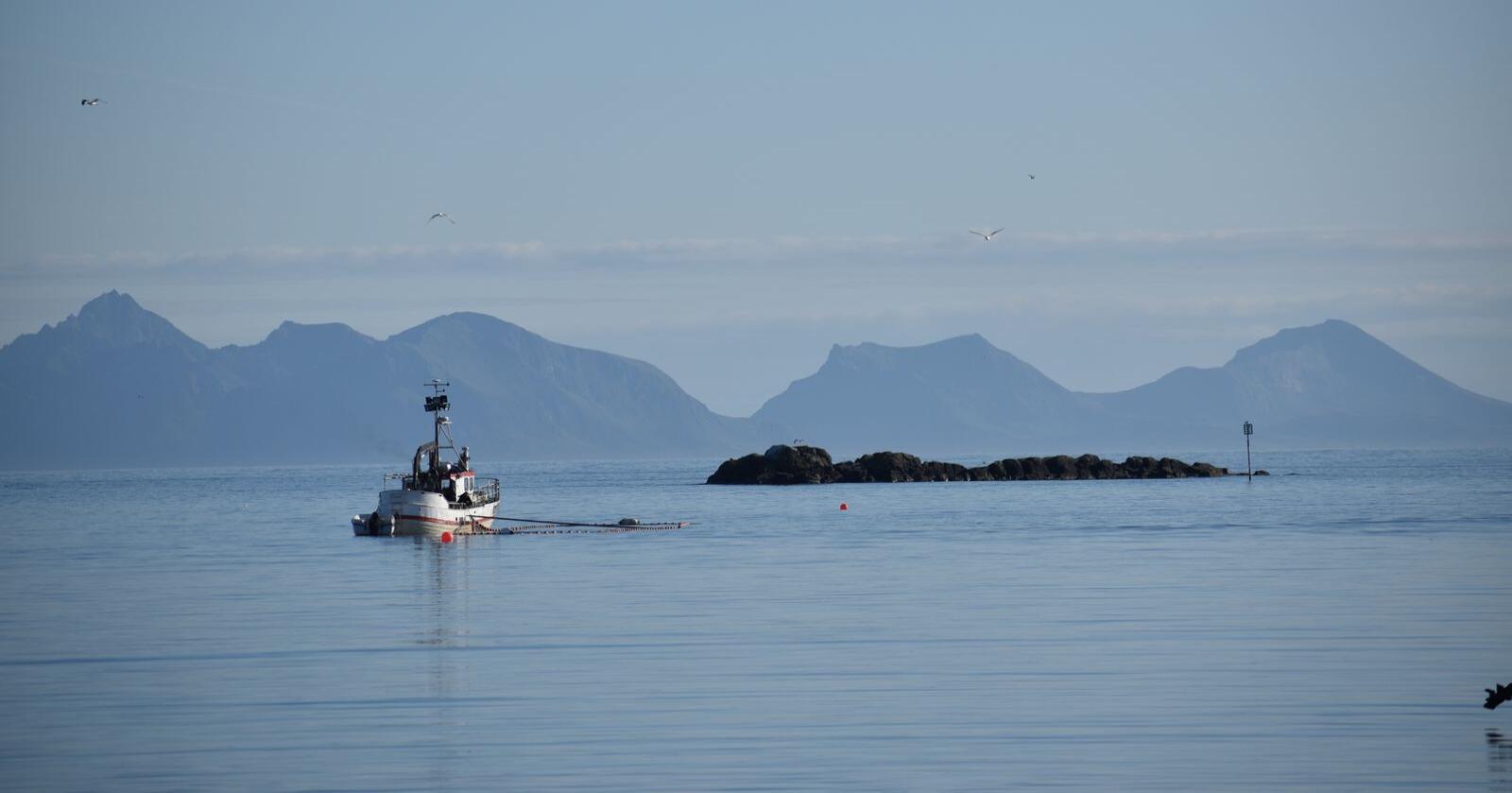 Fra kaia på sørspissen av Bø i Vesterålen ser man Lofotveggen i all sin prakt. Nå gjør kommunen noe radikalt for å tiltrekke seg pengesterke innbygere. Foto: Henrik Heldahl