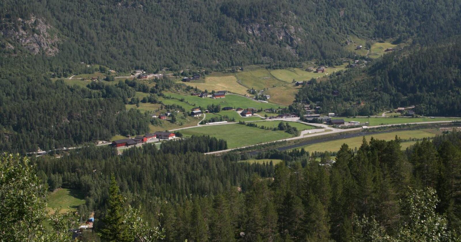 Utsikt over Haukeligrend/Edland i Vinje kommune, der de har ansatt en «los» for å koble aktuelle innflyttere med tomme hus. Foto: Bjarne Bekkeheien Aase