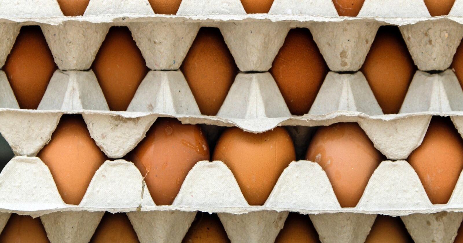 Kastes: Bare i løpet av det siste året har norske eggprodusenter i felleskap måttet betale for ekstremvarianten av markedsregulering; 400 tonn til destruksjon hos Biosirk Norge, skriver kronikøren. Foto: Mostphotos
