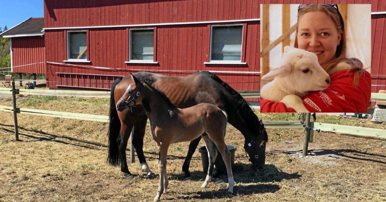Hesten til Mailin Christina Wahl Engeskaug ble påvist positvt tilfelle av salmonella. Hun reagerer på hvordan Veterinærhøgskolen har håndtert situasjonen. Foto: Privat