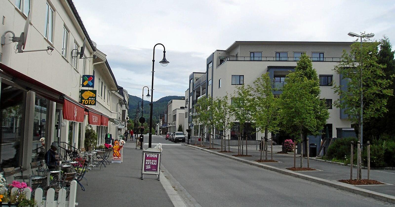 Nesbakken i Jevnaker kommune. Foto: Hans Olav Lien / Wikipedia