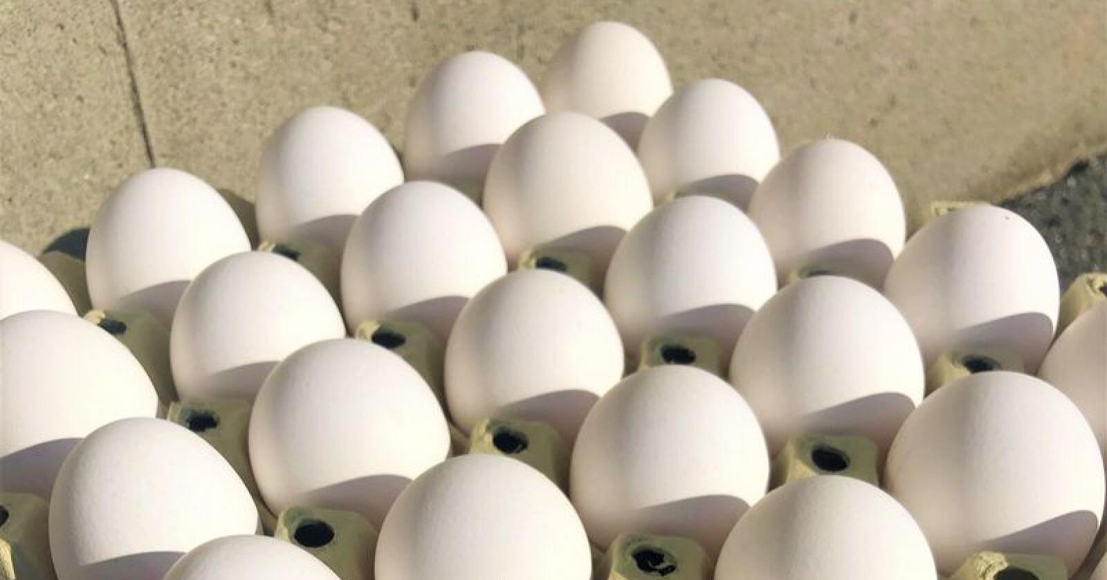 For egg viser Nortura sin prognose framleis eit stort overskot.