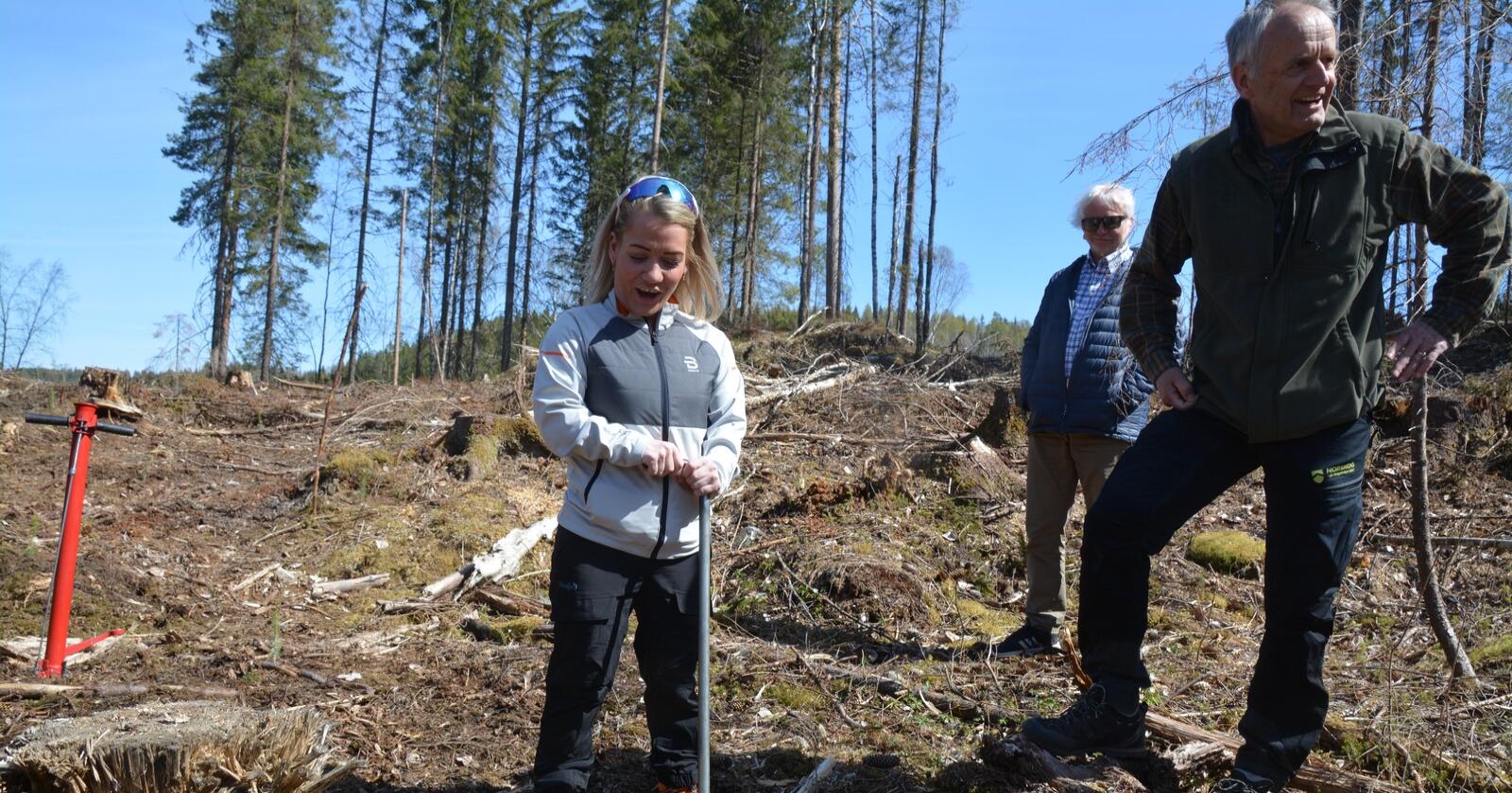 Skogbruksminister: I alt 45 millioner skogplanter er planlagt plantet i år. Landbruks- og matminister Sandra Borch (Sp) ble mandag med på skogplanting i Lørenskog. (Foto: Anders Sandbu)