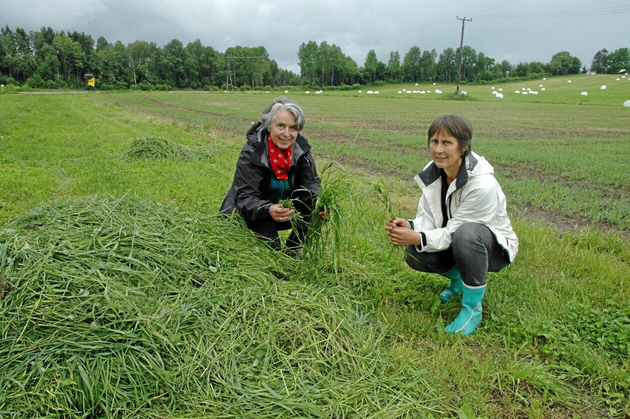 Jordkvalitet: Forsker og prosjektleder Lillian Øygarden fra Nibio/NMBU (til høyre) og forsker Marina Bleken fra NMBU. Foto: Jon Schärer