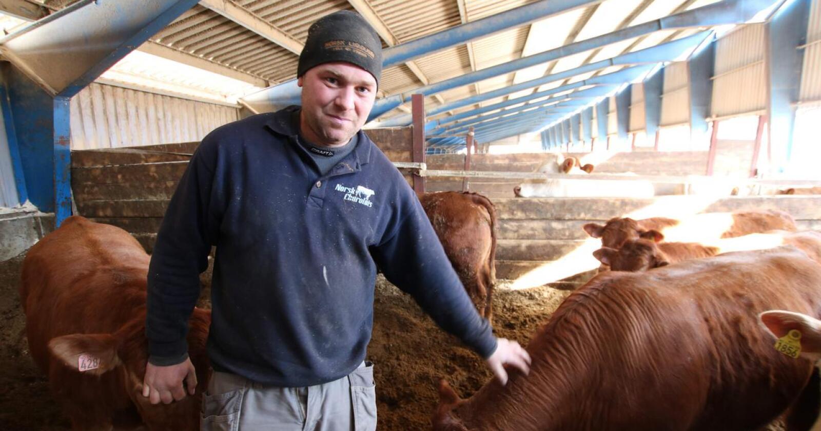 GIR OPP: Kristian Hovde er en av Norges største ammeku- og kjøttfeprodusenter. Nå gir han opp og slakter hele besetningen når kjøttprisen er som høyest i sommer. Foto: Dag Idar Jøsang