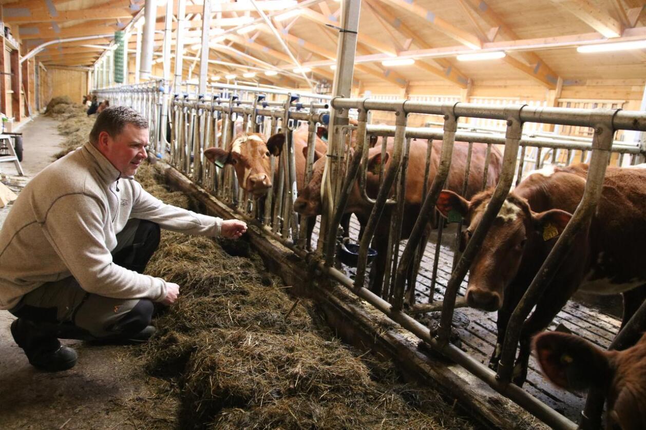TILSKUDD: Melkeprodusent Arnt Ove Aure i Sykkylven bygget i 2019 nytt fjøs i tre. Han fikk et investeringstilskudd fra Innovasjon Norge som tilsvarte cirka 30 prosent av kostnadsoverslaget. 