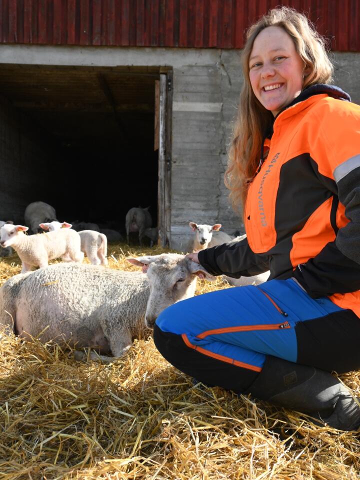 ØKER: I dag har Agnete 90 vinterfôra, men innen to år håper hun å være på 130. 