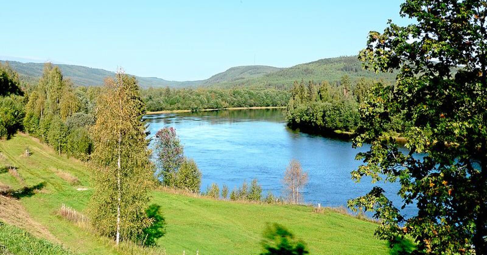 Lakseelv: Klarälven, Värmland. Foto: Olof Senestam / Wikimedia