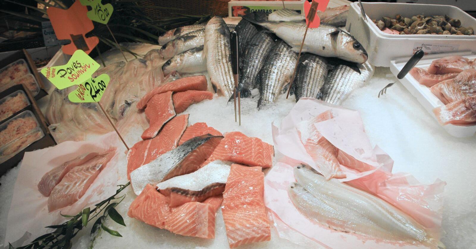 EU trenger fisk, 60 prosent av sjømaten i EU importeres. Foto: Mostphotos