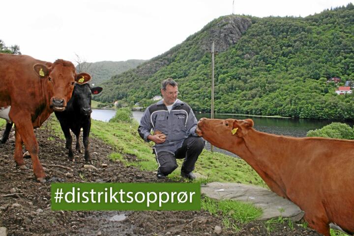 Kritisk: Vriding av tilskota mot stordrift vil ramme distriktsjordbruket, ifølgje Eivind Myrdal, som byr på ein brødbit for kyrne på sommarbeite. Foto: Bjarne Bekkeheien Aase