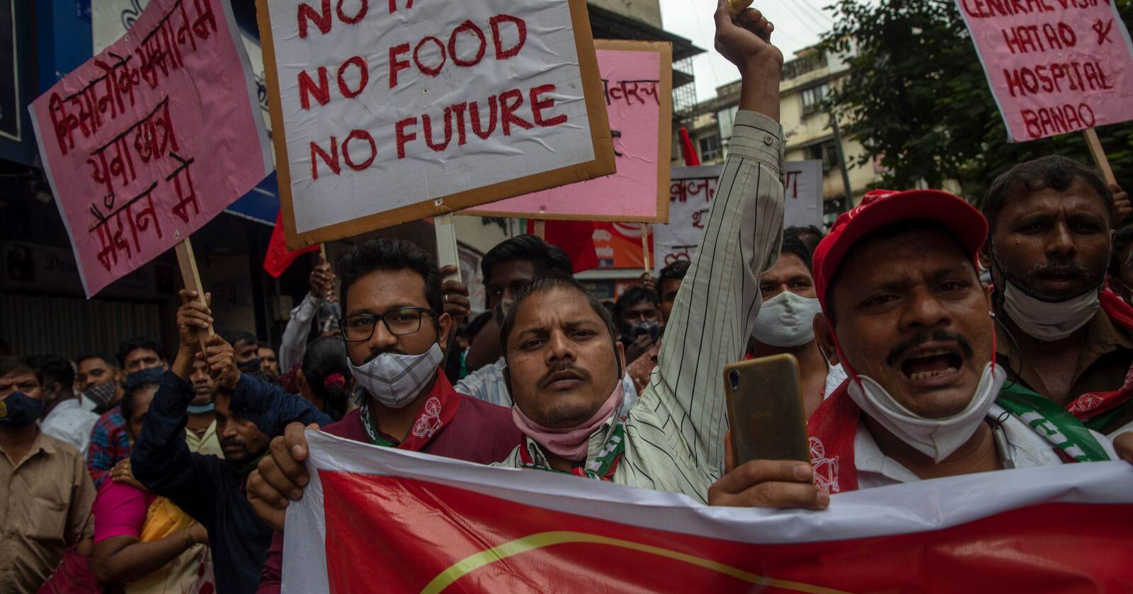 Her et bilde fra en demonstrasjon i Mumbai i India som marker at det er et år siden den upopulære jordbruksreformen i landet ble lansert. Foto: Rafiq Maqbool/AP/NTB