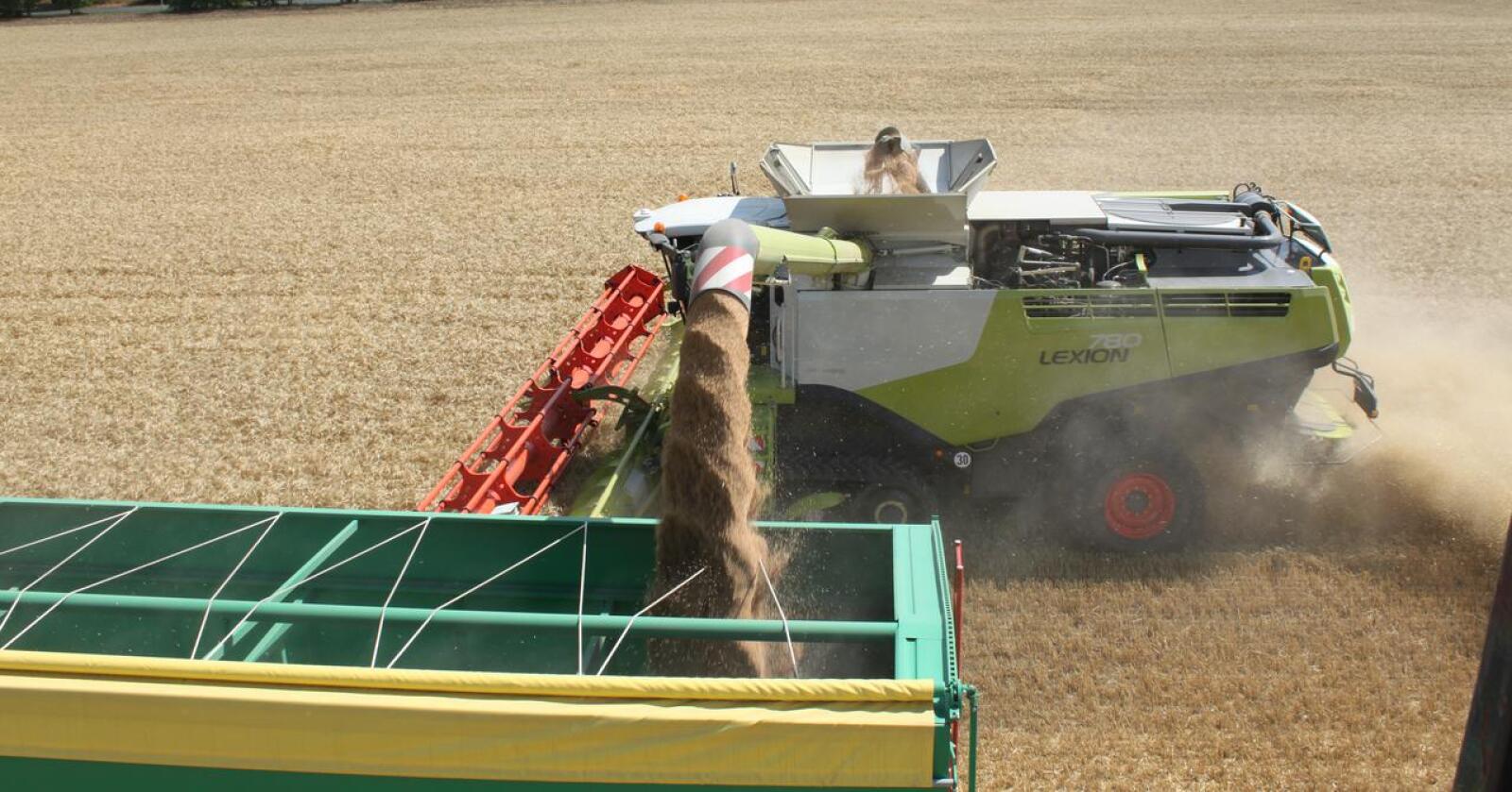Ukraina anklager Russland for å ta ukrainsk korn og sende det til andre deler av verden. (Arkivfoto: Norsk Landbruk)