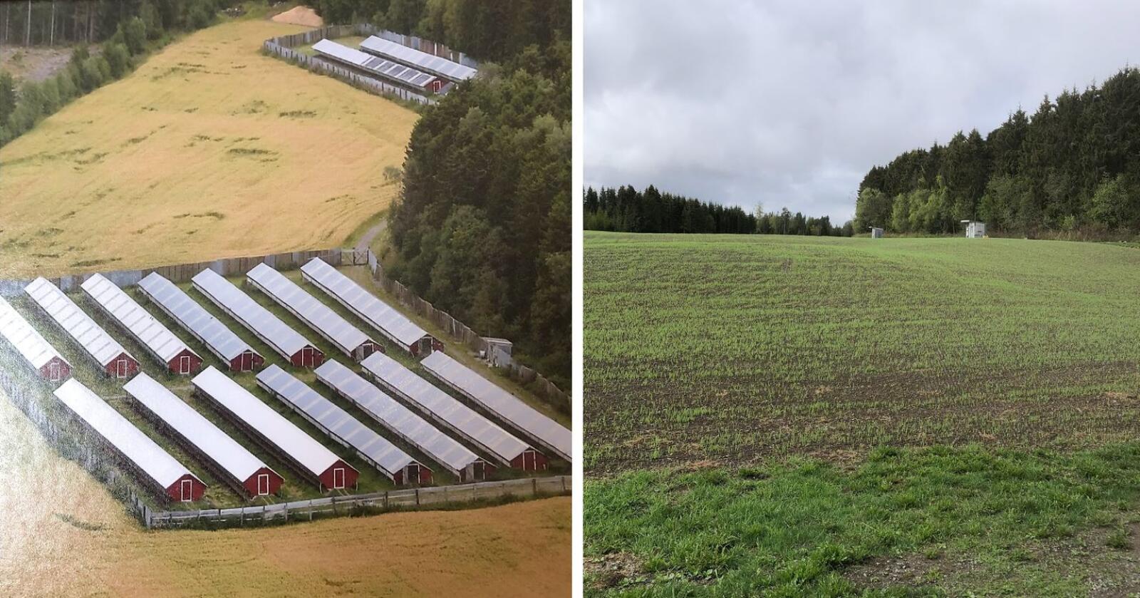Før og etter: På bildet til venstre ser man en pelsdyrgård på Østlandet i 2018. Bildet til høyre viser den samme gården i dag, etter avvikling. Foto: Norges Pelsdyralslag