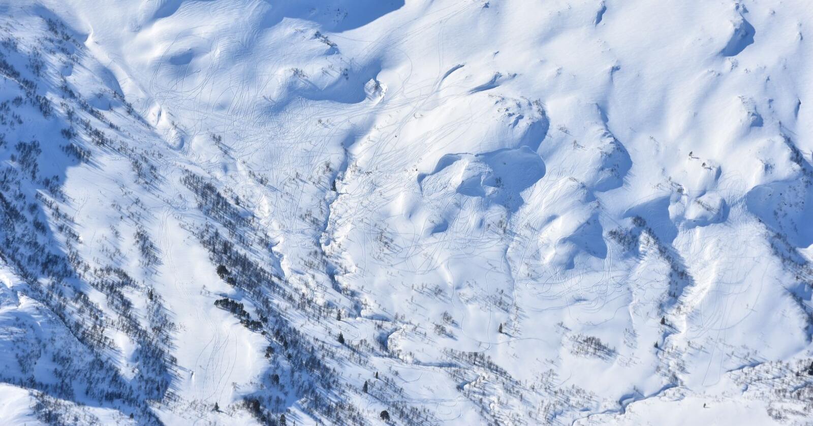Her ser man spor etter ulovlig snøskuterkjøring i Rindal i Trøndelag fra tidligere i vinter. Foto: Miljødirektoratet/SNO