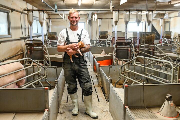 Bonde og direktør: Å drifte en gård med nesten 600 purker og 7000 dekar jord krever mer enn å skrape møkk og kjøre traktor. Heine Kjeldgaards viktigste oppgave er å legge til rette for en fornuftig drift, både for dyrene, alt som skal dyrkes og de ansatte.