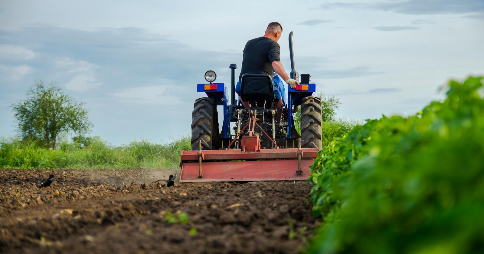 Til tross for at mye av dyrkbar jord i Ukraina ikke tas i bruk i år på grunn av krigen, blir ikke alt liggende i brakk. Det forventes at det kommer til å bli dyrket korn på rundt 10 millioner hektar. (Foto: Andrii Yalanskyi, Mostphotos)