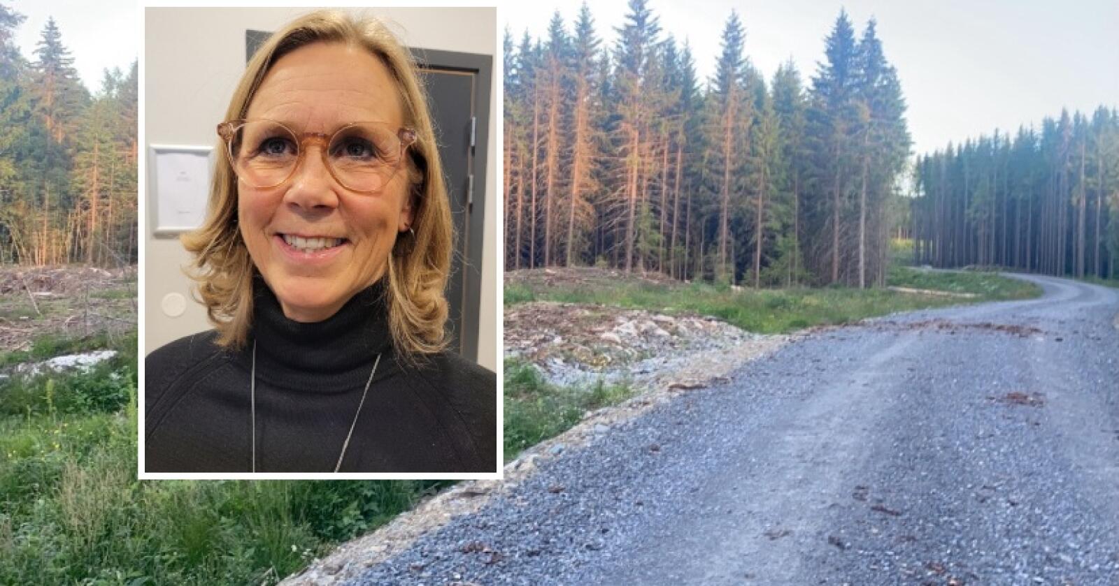 Ruth Lunden er en av mange som har investert i ny skogsvei. Foto: Ruth Lunden