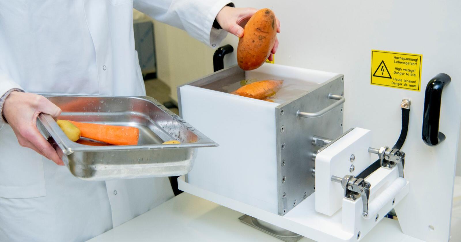 Søtpotet og gulrot til PEF-behandling: Innsatsen settes i en maskin som behandler mat med pulserende elektriske felt (PEF). (Foto: Jan Inge Haga / Nofima)