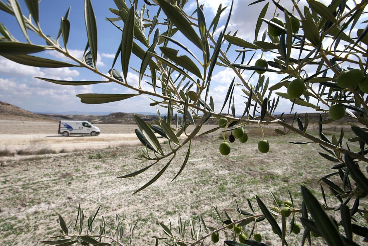 I årene som kommer vil det bli en økende risiko for tørke, noe som vil kunne true landbruket på den iberiska halvøya. Foto: Vidar Ruud / NTB